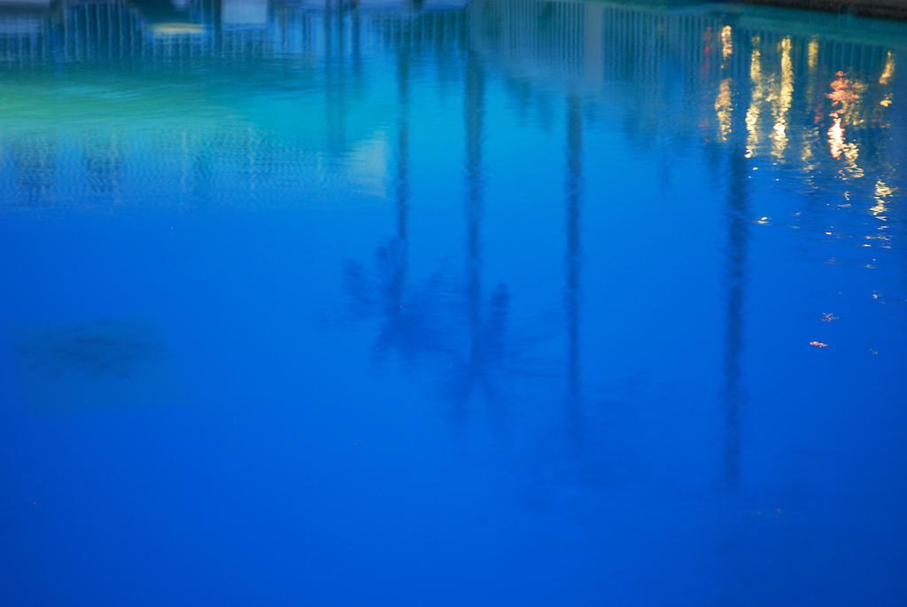 Shalimar Resort ワイルドウッド・クレスト エクステリア 写真